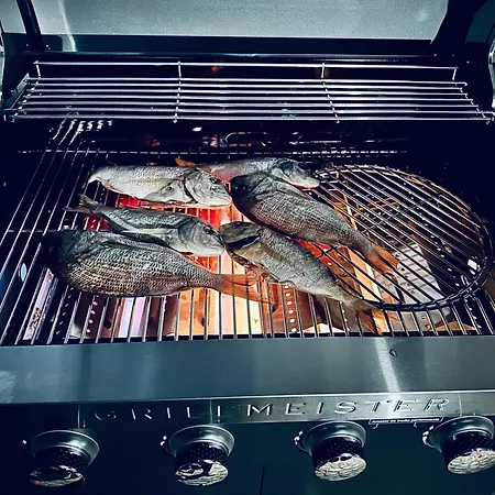 住宿加早餐酒店 Serbian House