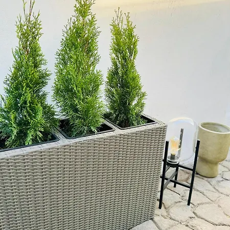 Serbian House 住宿加早餐酒店