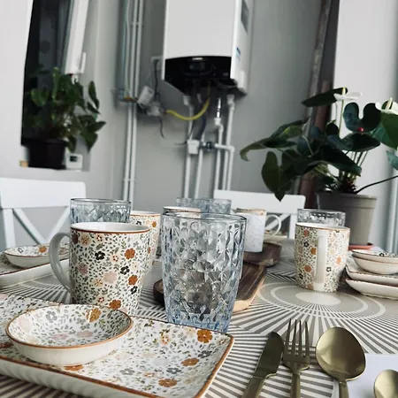 Serbian House 蒂米什瓦拉