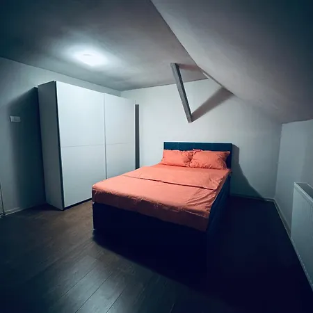 Serbian House 蒂米什瓦拉