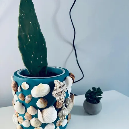 Serbian House 住宿加早餐酒店