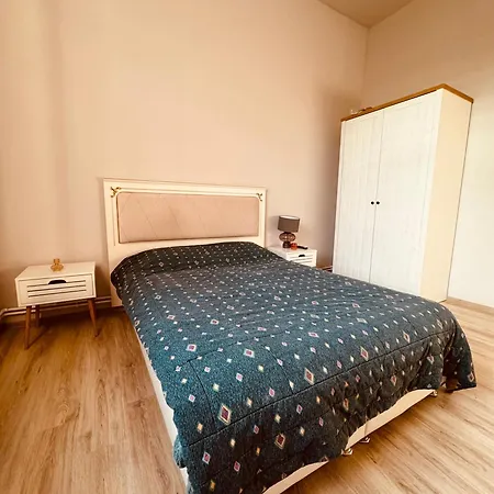 住宿加早餐酒店 Serbian House 3*