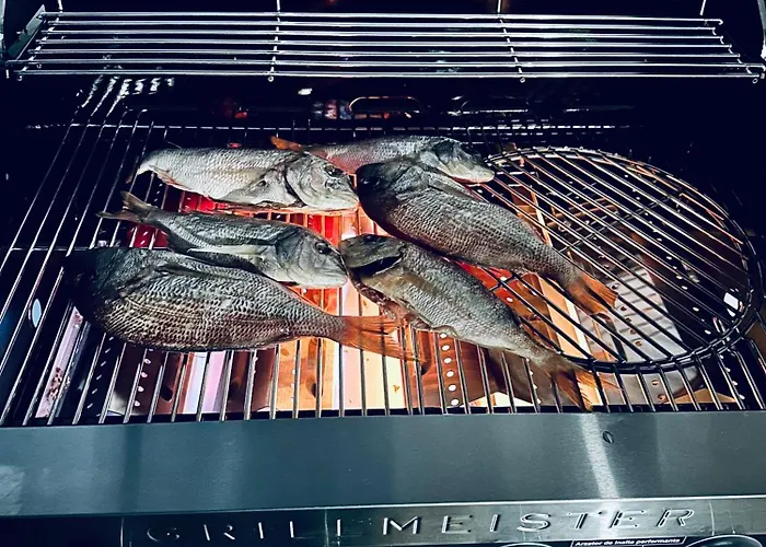 לינה וארוחת בוקר Serbian House