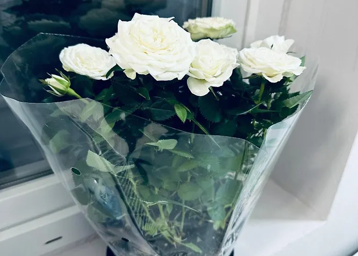 Serbian House לינה וארוחת בוקר טימישוארה