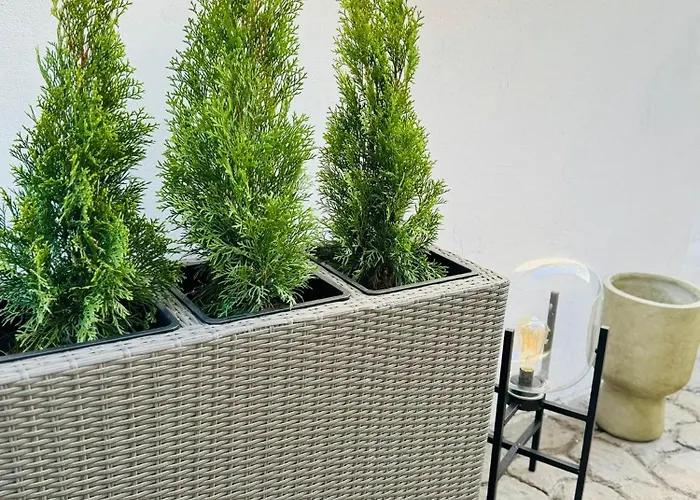 Serbian House לינה וארוחת בוקר