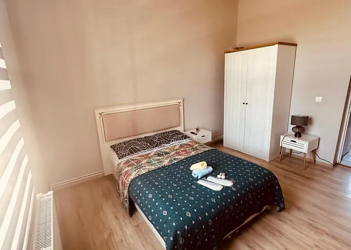 לינה וארוחת בוקר Serbian House טימישוארה