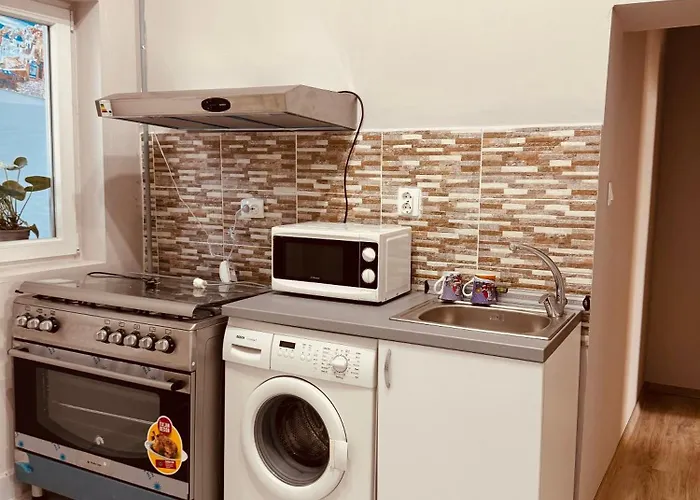 Serbian House לינה וארוחת בוקר טימישוארה