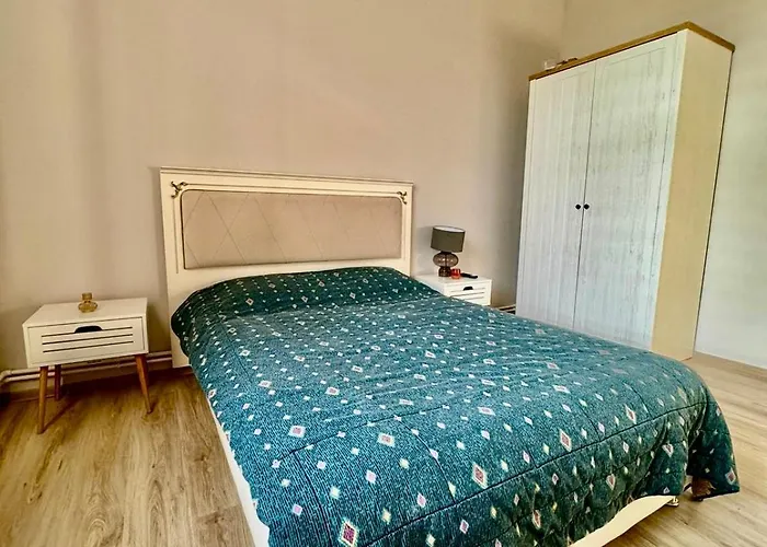 לינה וארוחת בוקר Serbian House טימישוארה