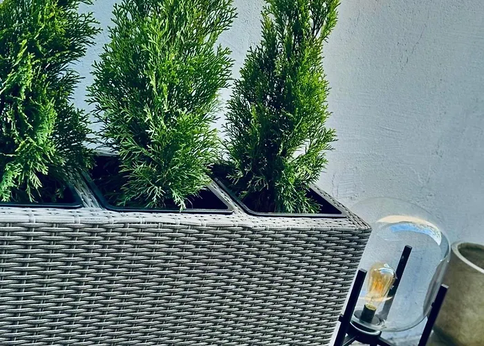 Serbian House לינה וארוחת בוקר טימישוארה