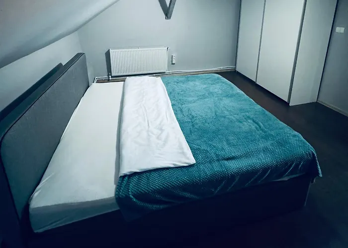 Serbian House טימישוארה