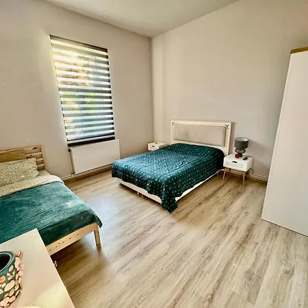 Serbian House 3* تيميشورا