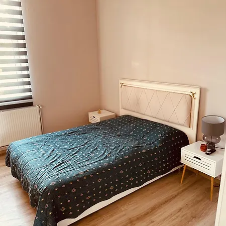 Serbian House فندق مبيت وإفطار 3*