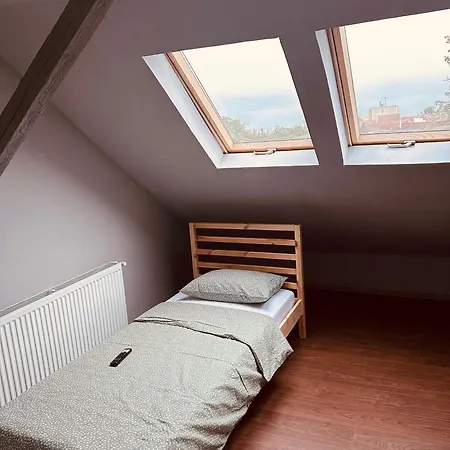 Serbian House تيميشورا