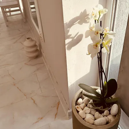 فندق مبيت وإفطار Serbian House