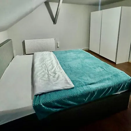 فندق مبيت وإفطار Serbian House تيميشورا