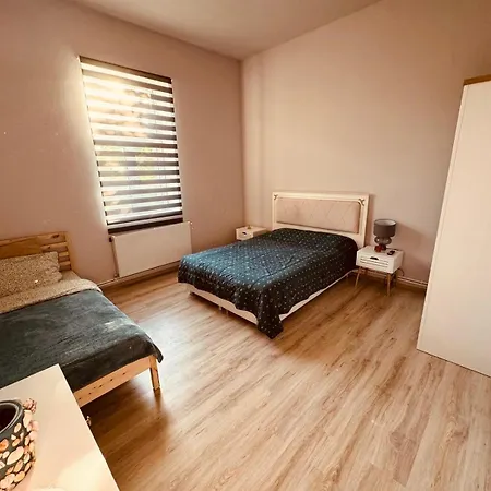 Serbian House فندق مبيت وإفطار تيميشورا