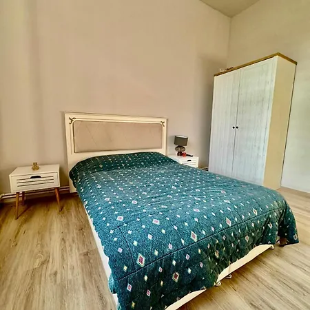 فندق مبيت وإفطار Serbian House تيميشورا