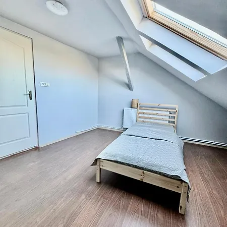 فندق مبيت وإفطار Serbian House تيميشورا