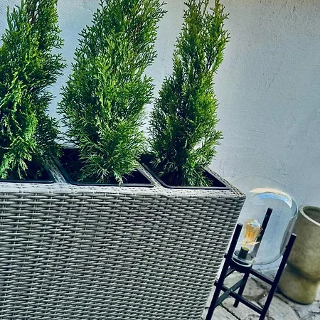 Serbian House فندق مبيت وإفطار تيميشورا