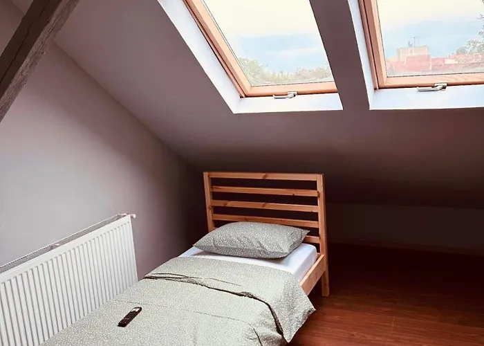 Bed & Breakfast Serbian House