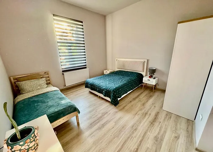 Serbian House 3* Timişoara