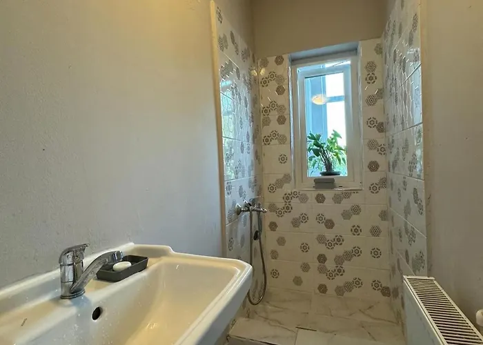 Serbian House 3* Timişoara