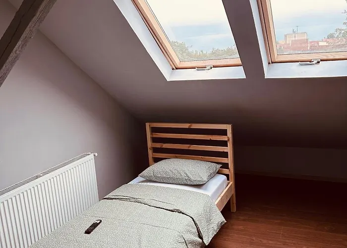 Serbian House Timişoara