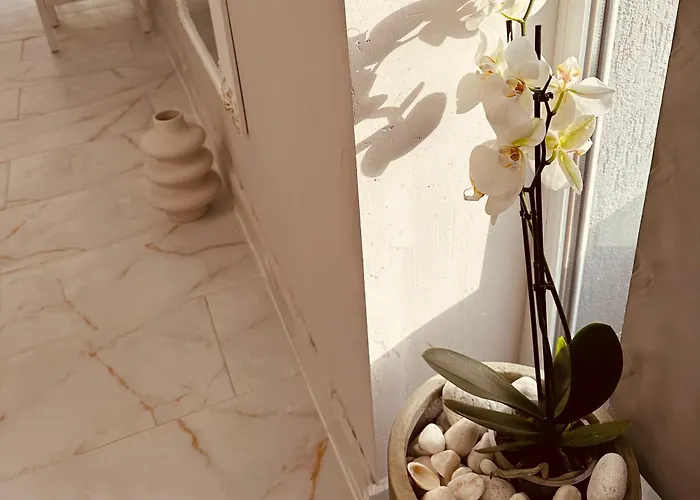 Bed & Breakfast Serbian House