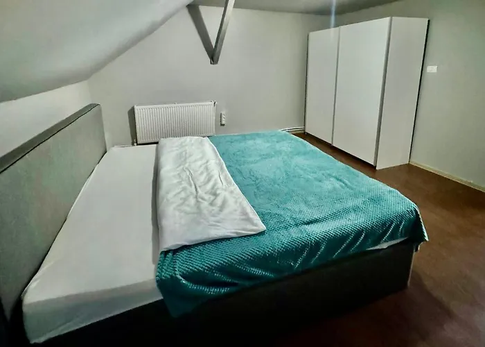 Bed & Breakfast Serbian House Timişoara