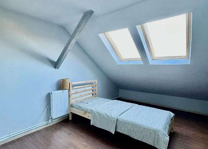 Bed & Breakfast Serbian House Timişoara