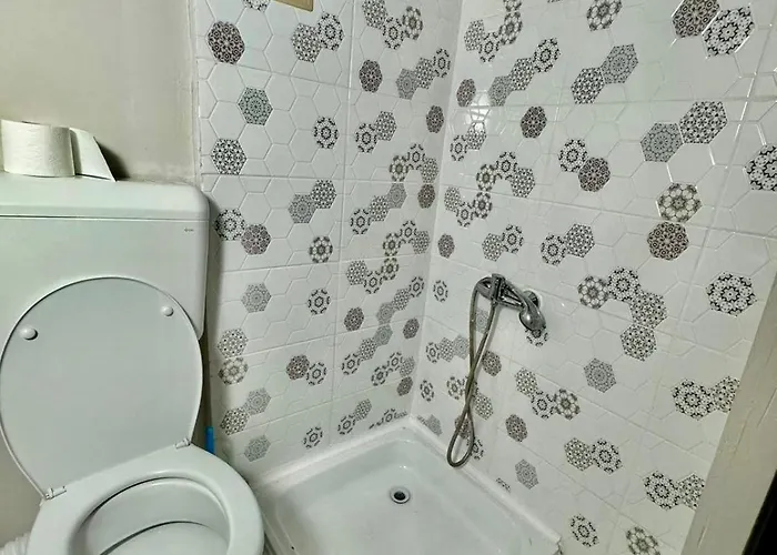 Serbian House Timişoara