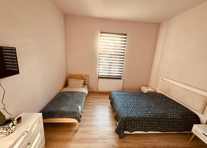 Serbian House 3* Timişoara