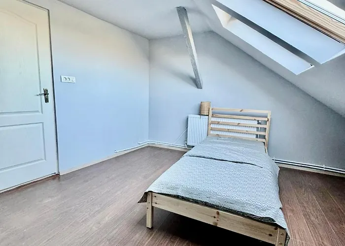 Bed & Breakfast Serbian House Timişoara