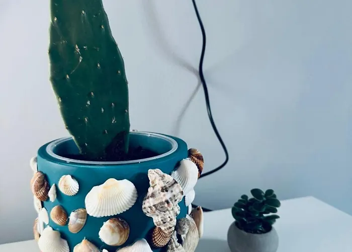 Serbian House Bed & Breakfast